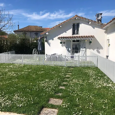 Gite Des Lavandes Oradour-Fanais Exterior photo
